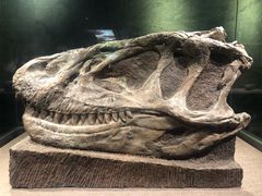 -自贡恐龙博物馆