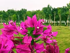 -白沙门生态公园