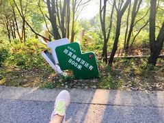 -雨花胜境