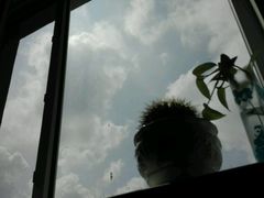 android_upload_pic-佳兆业国际影城(鞍山店)