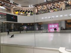 -TheRink大零溜冰场(IFS国金中心店)