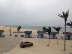 -王潮活海鲜自助·蒸汽海鲜