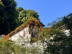 -乌山风景区