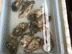 -外伶仃岛海鲜市场