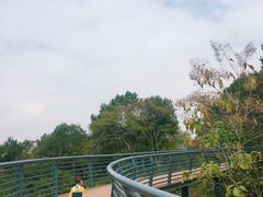 -玉树公园