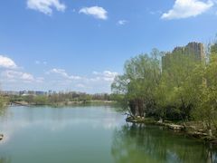 -洋湖国家湿地公园