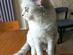 -青春加萌照相馆