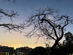 -木子人家(小桂湖店)