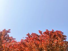 -丁家河公园