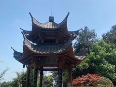 -铁山坪森林公园