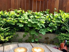 -Peet's Coffee皮爷咖啡(大学路店)