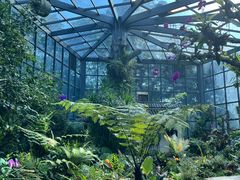 -东莞植物园