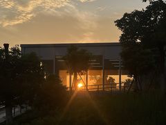 -九龙湖公园