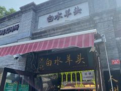 -洪记白水羊头(留学路店)