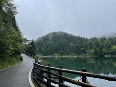 -武陵山森林公园