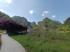 -靖西鹅泉风景区