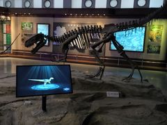 -自贡恐龙博物馆