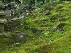 -常寂光寺