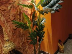 -泰谷玲抓龙筋SPA·泰式按摩(五一广场店)