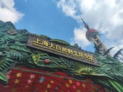 -上海大自然野生昆虫馆