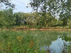 -淇河国家湿地公园