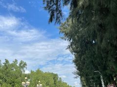 -宝安西湾红树林湿地公园