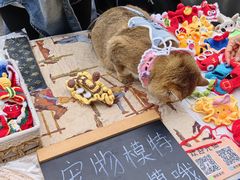 -丽达购物中心(崂山店)
