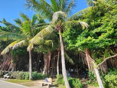 -深圳湾公园(南山区)