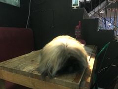 -M-3 PUB(创智天地店)