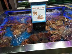 -盒马X会员店(王府井奥莱UP TOWN店)