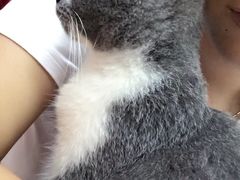 -惠康宠物医院(华能路店)