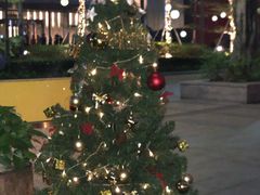 -农畉LONFOOD(福田星河COCOPark店)