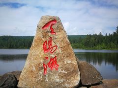 -五营红松林海景区