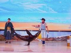 景点-三亚海昌梦幻海洋不夜城