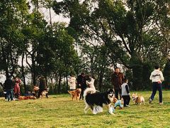 -蜀冈西峰生态公园