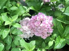 -城隍阁