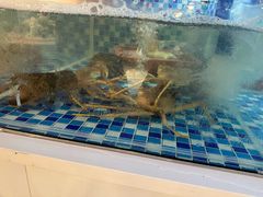 -碗中海·蒸汽海鲜·桑拿鸡(岭南天地店)