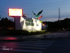 -美的鹭湖森林度假区
