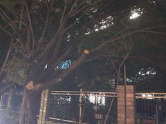 -福州大学(旗山校区)