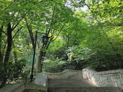 -千佛山风景名胜区