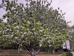 -元大都城垣遗址公园