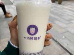 -一只酸奶牛(八一路店)