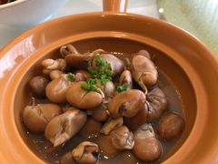 鸡汁发芽豆-骏莱海鲜鱼港(五角场店)