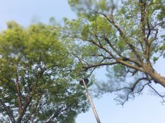 -尚贤河湿地