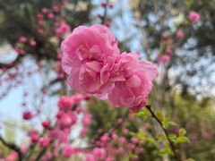 -小天府川菜馆(魏公村店)