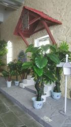 -完美新娘婚纱摄影