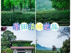 -野蔓果·山野菜(西湖景区·龙井茶田店)