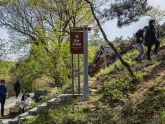 -沂蒙山旅游区云蒙景区(蒙山国家森林公园)