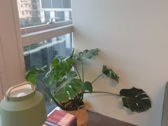 -安肯心理咨询(长宁旗舰店)