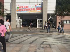 -九龙公园